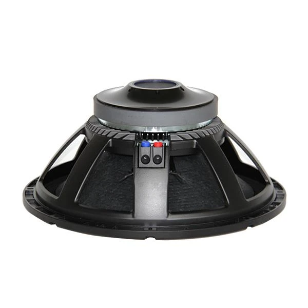 15inch Stage Pro Audio Speaker
